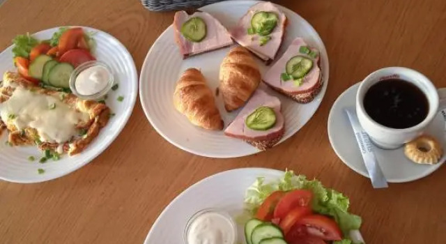 Viesu nams KARPATI
