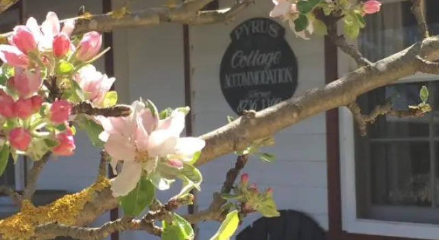 Coonawarra's Pyrus Cottage, Κράτηση Διακοσστικό σπίτι Coonawarra Νότια Αυστραλία, κοντά στο Μπραντς Λάιρα