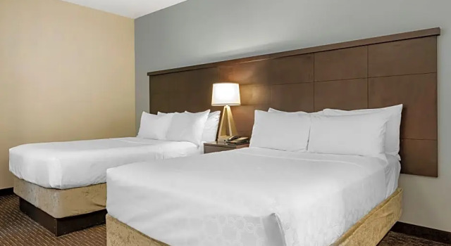 Четырёхместный люкс c 1 комнатой Staybridge Suites St. Petersburg FL by IHG