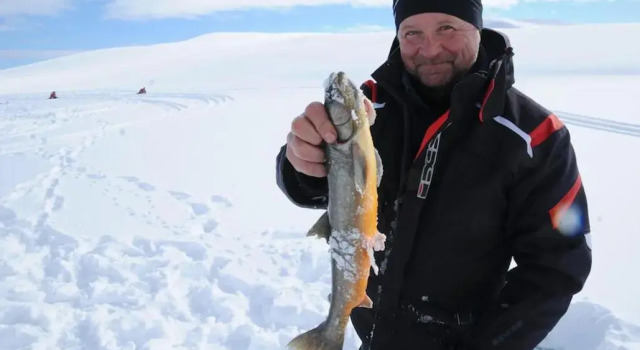 Tunet, Book Hotel Storuman Västerbotten
