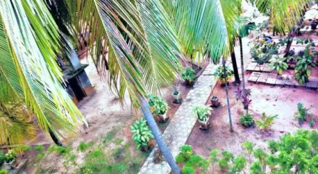 Elegant Green Beach Resort