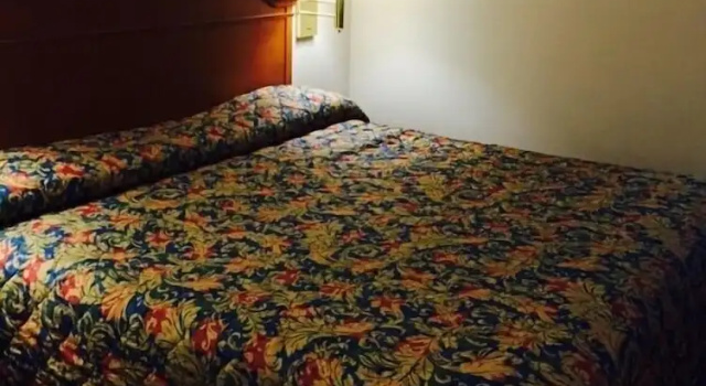 Четырёхместный номер Standard Royal Inn Taylorsville