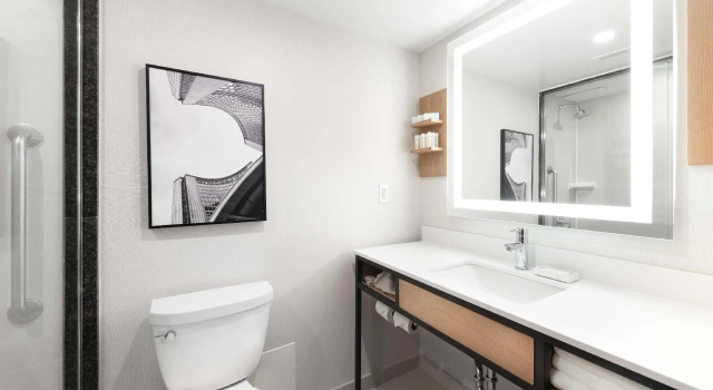 Номер Premium Hilton Garden Inn Toronto Airport