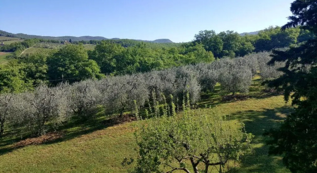 Апартаменты Цокольный этаж Holiday House Le Selvole