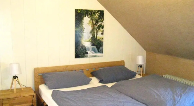 Номер Standard Bio-Hotel Zum Forsthaus