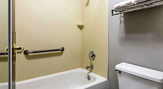 Двухместный люкс Farragut Inn & Suites