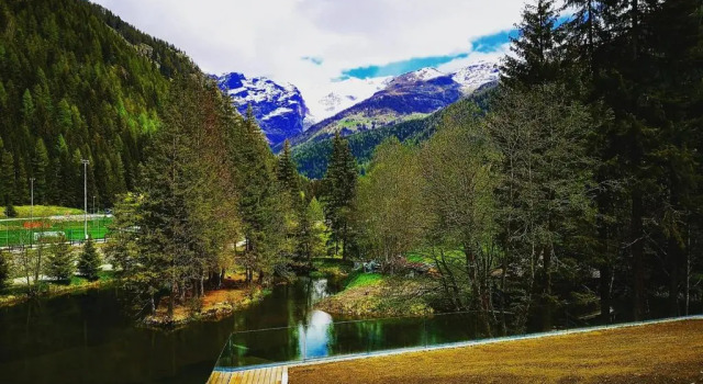 Номер Standard Au Charmant Petit Lac - Ecohotel Parc & Spa