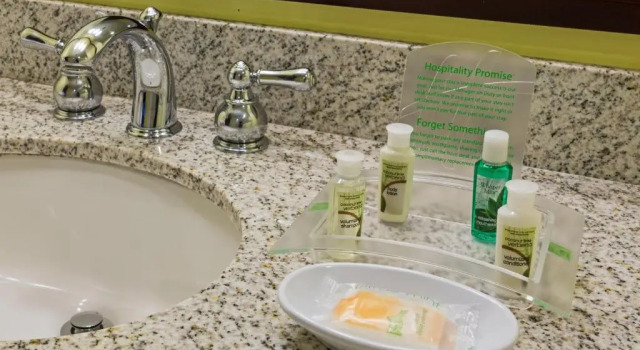 Номер Standard Holiday Inn San Antonio-Riverwalk by IHG