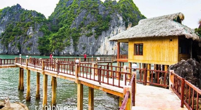 Nam Cat Island Resort, Book Resort Cát Hải Cat Ba National Park