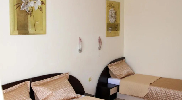 Номер Standard Vlasta Family Hotel