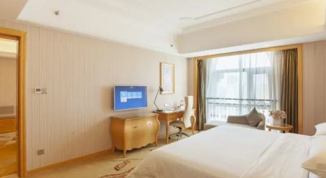 Люкс Deluxe Vienna International Hotel (Pingdingshan Yingcheng)