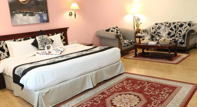 Двухместный номер Deluxe Pars International Hotel