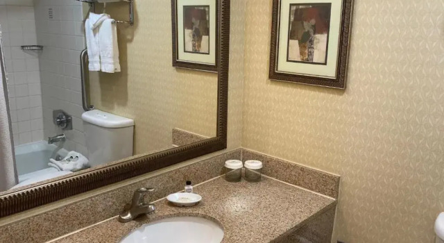 Четырёхместный номер Standard Crowne Plaza Austin