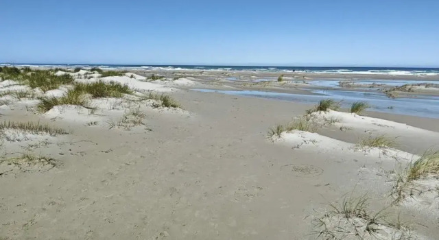 4 star holiday home in Ålbæk, Забронировать Дом для отпуска Ольбек Skagen Odde