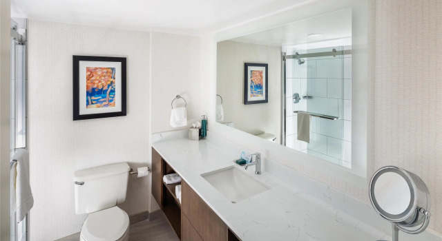 Двухместный полулюкс DoubleTree by Hilton Hotel Oak Ridge - Knoxville