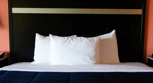 Люкс Deluxe Elkton Lodge - Newark - Elkton University Gateway