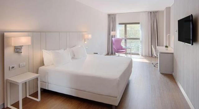Superior Double room with view NH Pontevecchio