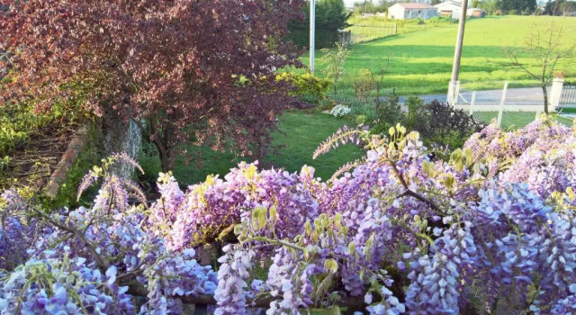 Les Glycines Bed & Breakfast, Réserver Appartement Hôtels à Eymet avec parking, Parking