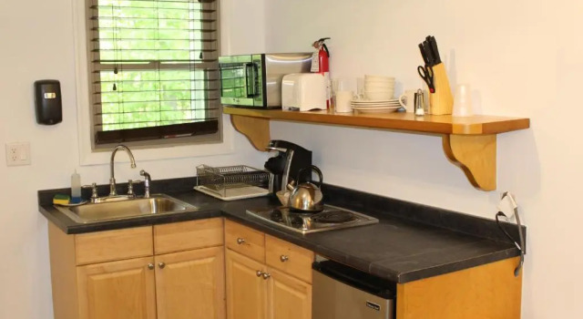 Номер Standard Catskill Seasons Inn