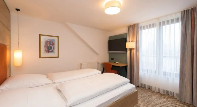 Номер Comfort Hotel SCHNEIDER