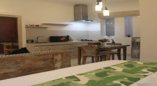 Green Studio Apartment Seminyak