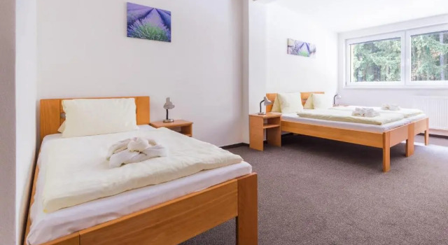 Трёхместный номер Standard Hotel&Wellness Knížecí rybník