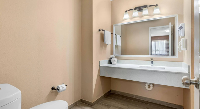 Двухместный люкс Quality Inn & Suites Plano East - Richardson