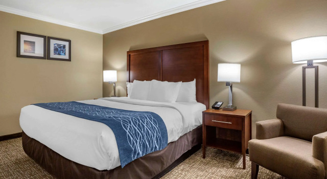 Двухместный номер Standard Comfort Inn Sunnyvale - Silicon Valley