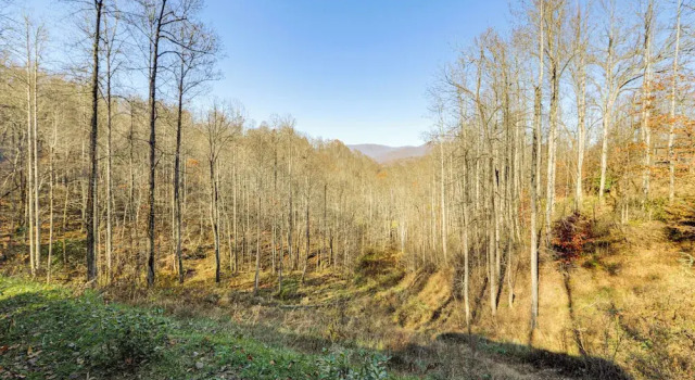 Hot Tub Haven! Mtn-view Home 13 Mi to Bryson City!, Забронировать Дом для отпуска Коттеджи Уитиер, Коттедж