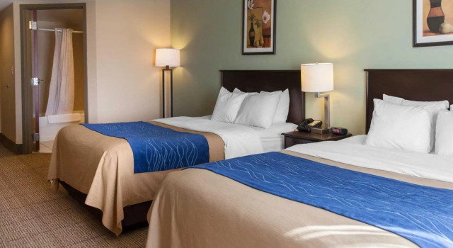 Standard Zimmer Comfort Inn Near Quantico Main Gate North