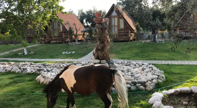 Семейный номер Standard с красивым видом из окна Ida Natura Life Style Otel Kazdaglari