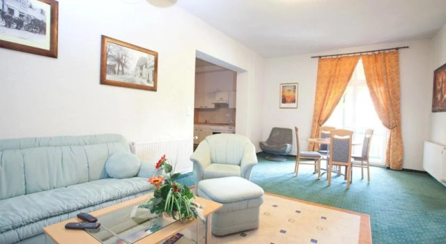 Business & Holiday Hotel Steiner, Book Hotel  