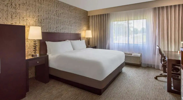 Номер Standard DoubleTree by Hilton Hotel Chicago Wood Dale - Elk Grove