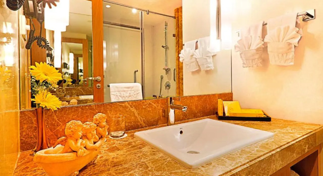 Двухместный номер Deluxe Hotel Bawa International