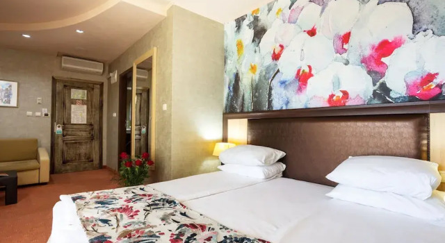 Номер Deluxe Balneo Complex & Spa Aquatonik