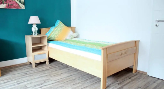 Одноместный номер Standard Ferienhaus Seerose