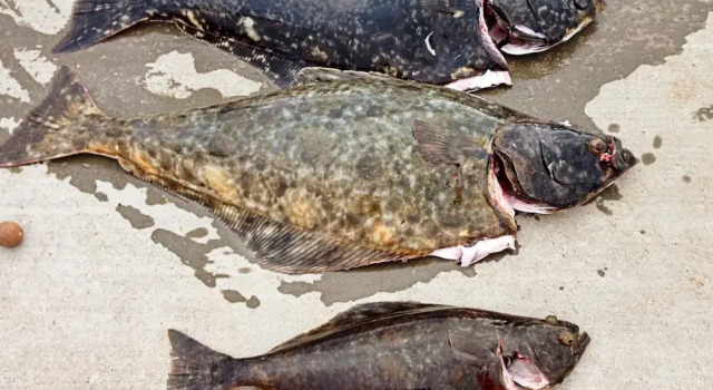 Коттедж 7 Person Holiday Home in Breivikbotn