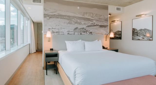 Двухместный номер Standard с видом на город Hotel Indigo Denver Downtown - Union Station by IHG