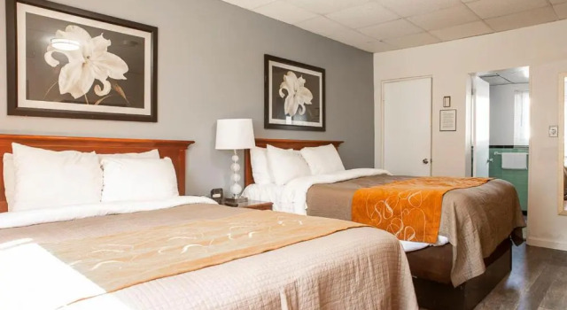 Четырёхместный номер Standard Bedford Motel