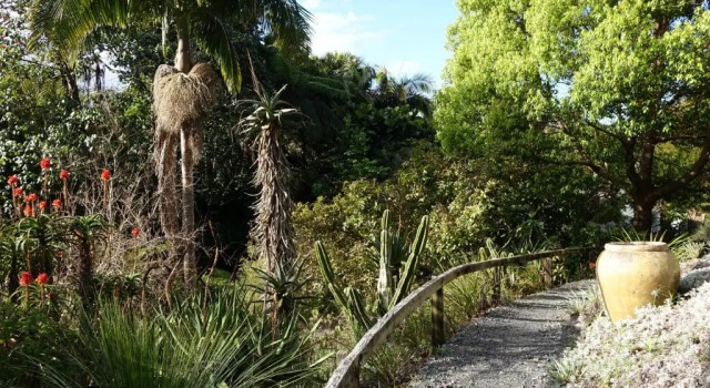 Бунгало Wharepuke Subtropical Accommodation