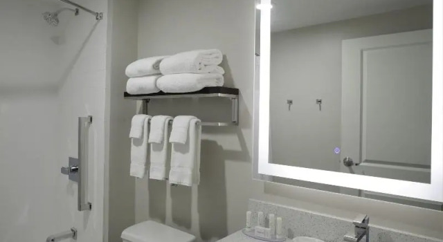 Двухместный люкс TownePlace Suites by MarriottDetroit Canton