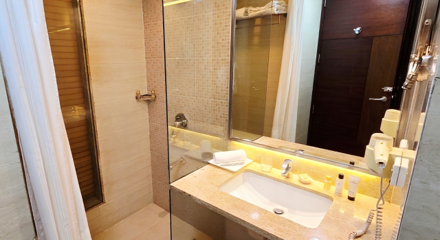 Номер Standard Shervani Nehru Place