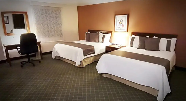 Junior suite Standard Mision Express Pachuca