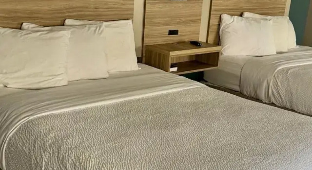 Четырёхместный номер Standard Quality Inn Knoxville West Cedar Bluff