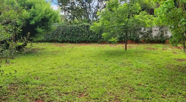 Apartment Lovely 3 bed in Mount Pleasant - 2153