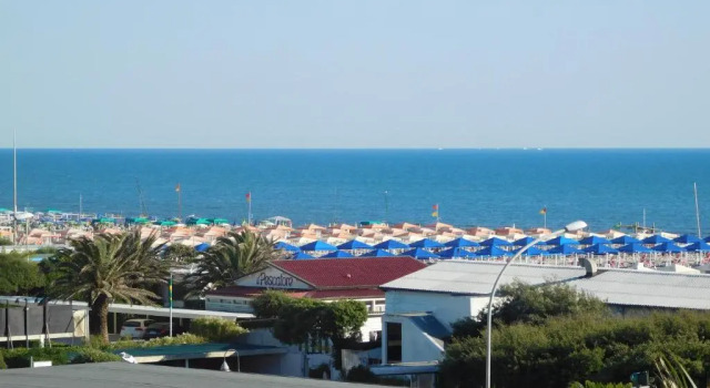 Трёхместный номер Standard Hotel Oceano