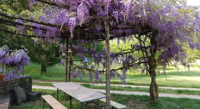 La Casa nel Chianti