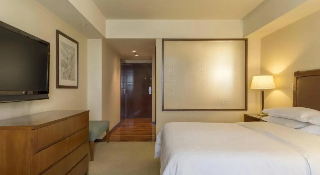 Двухместный номер Classic Sheraton Mendoza Hotel