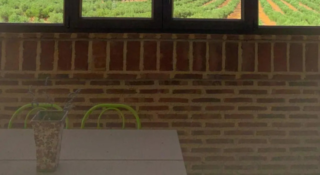 Апартаменты c 1 комнатой Spa Complejo Rural Las Abiertas