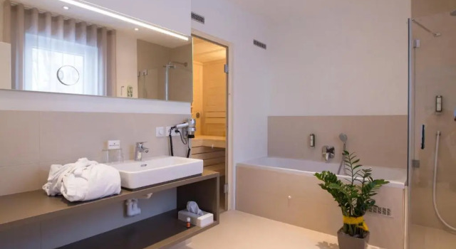 Апартаменты Deluxe Vitus Steyr Hotel & SPA Suites
